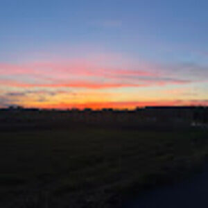 Meet your Posher, Liv